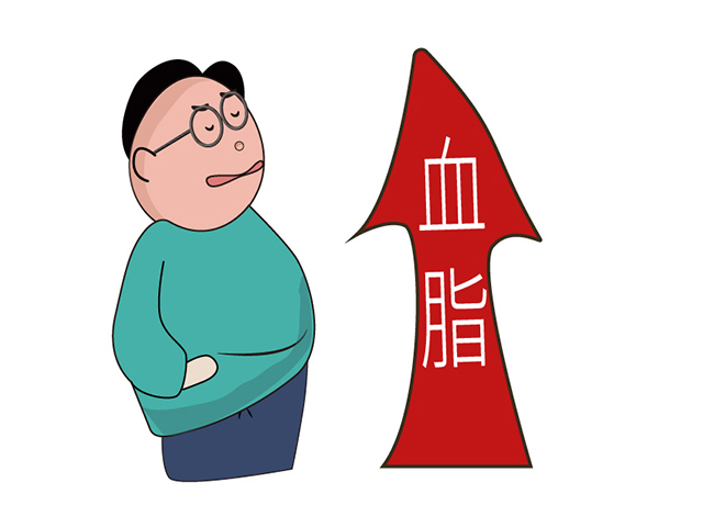 血脂、胖人、健康-康興醫(yī)療器械官網(wǎng)